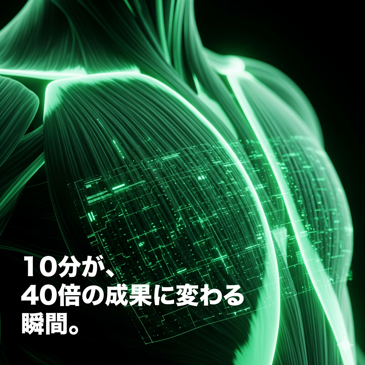 "THE CORE" (月額メンバーシップ）2026年1月スタート（先着10名様限定 40%OFFキャンペーン）